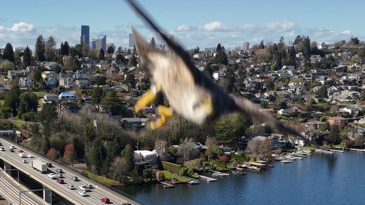 Jeremy Harris tweet media