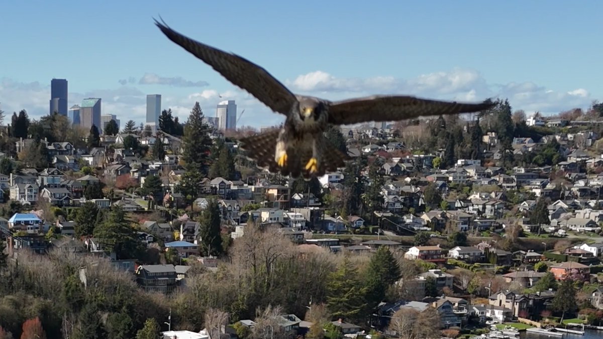 Jeremy Harris tweet media