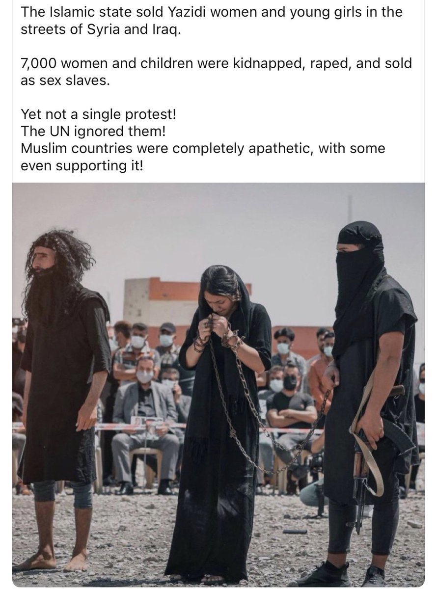 Terra i foc tweet media