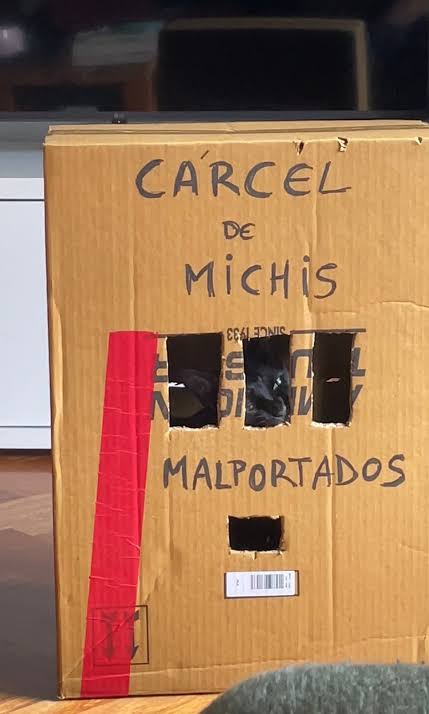 Animalitos en aprietos. tweet media