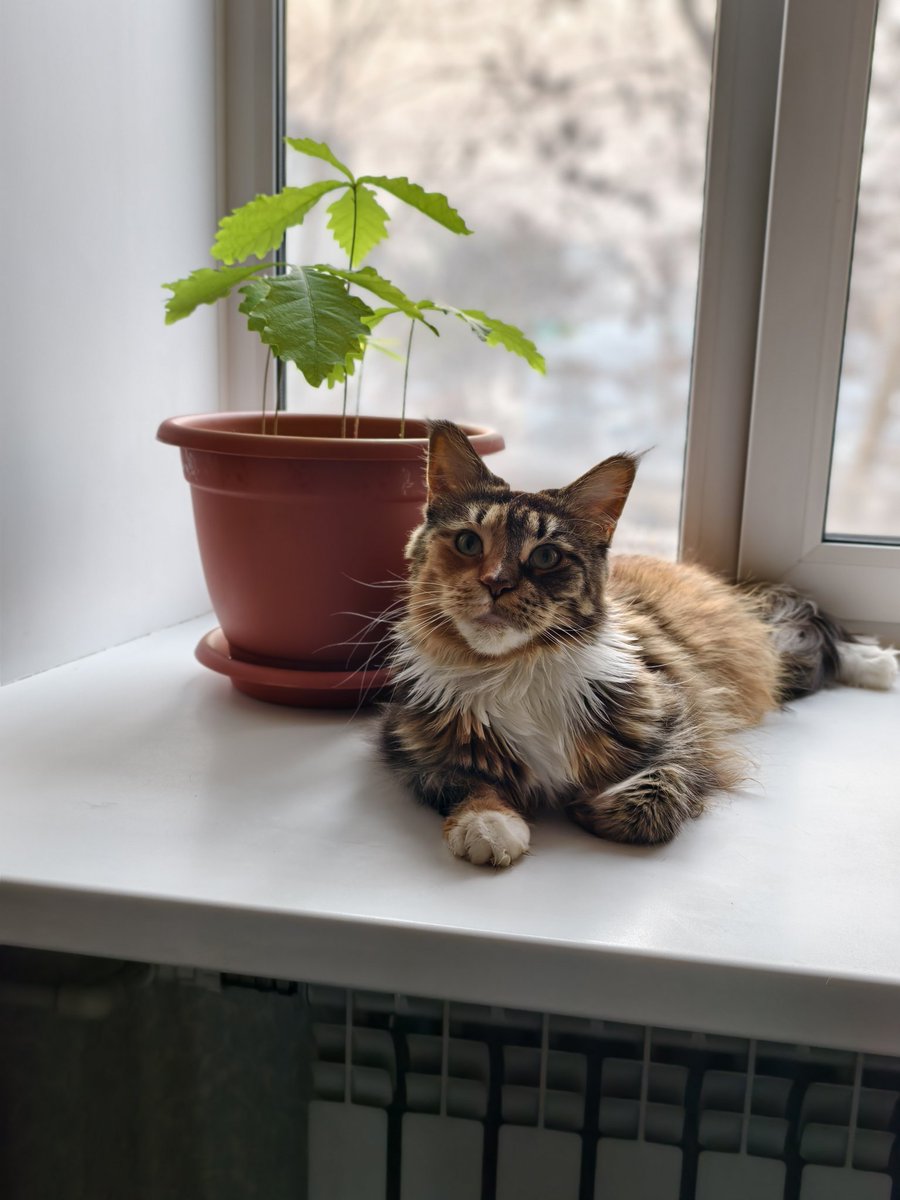 Yuozchik tweet media