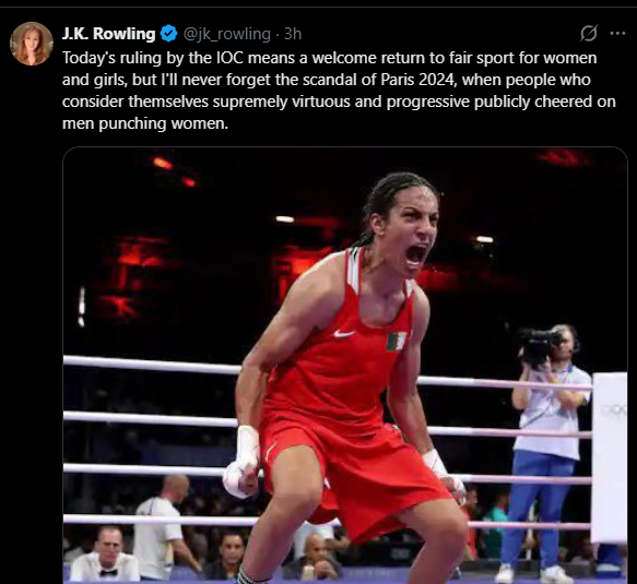 Gabriela Ivy tweet media