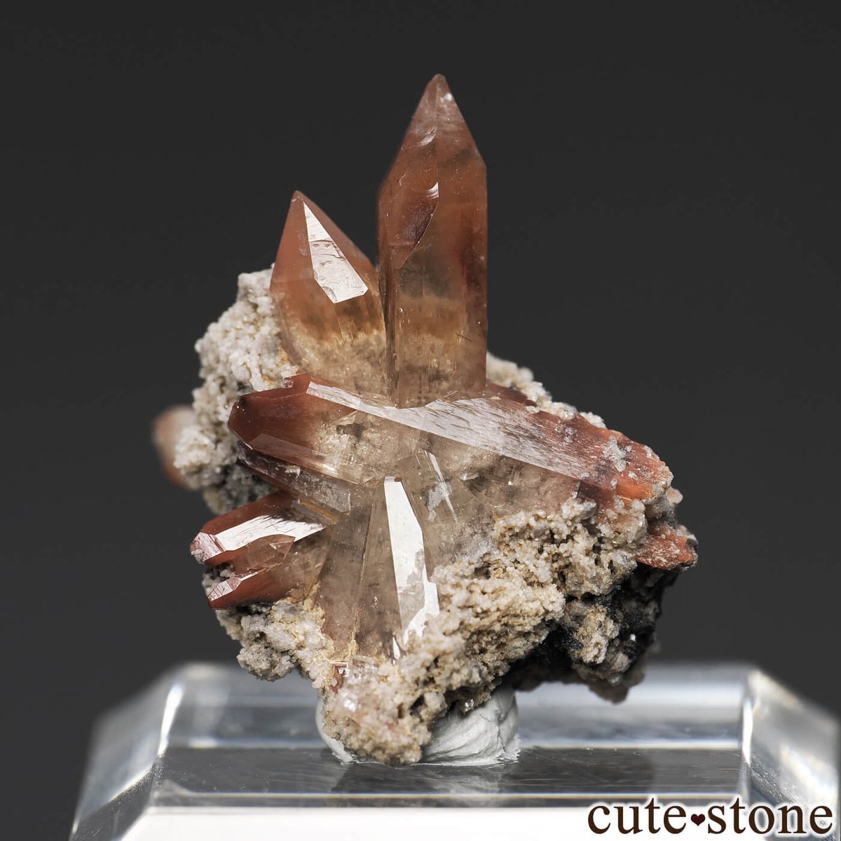 cute stone tweet media