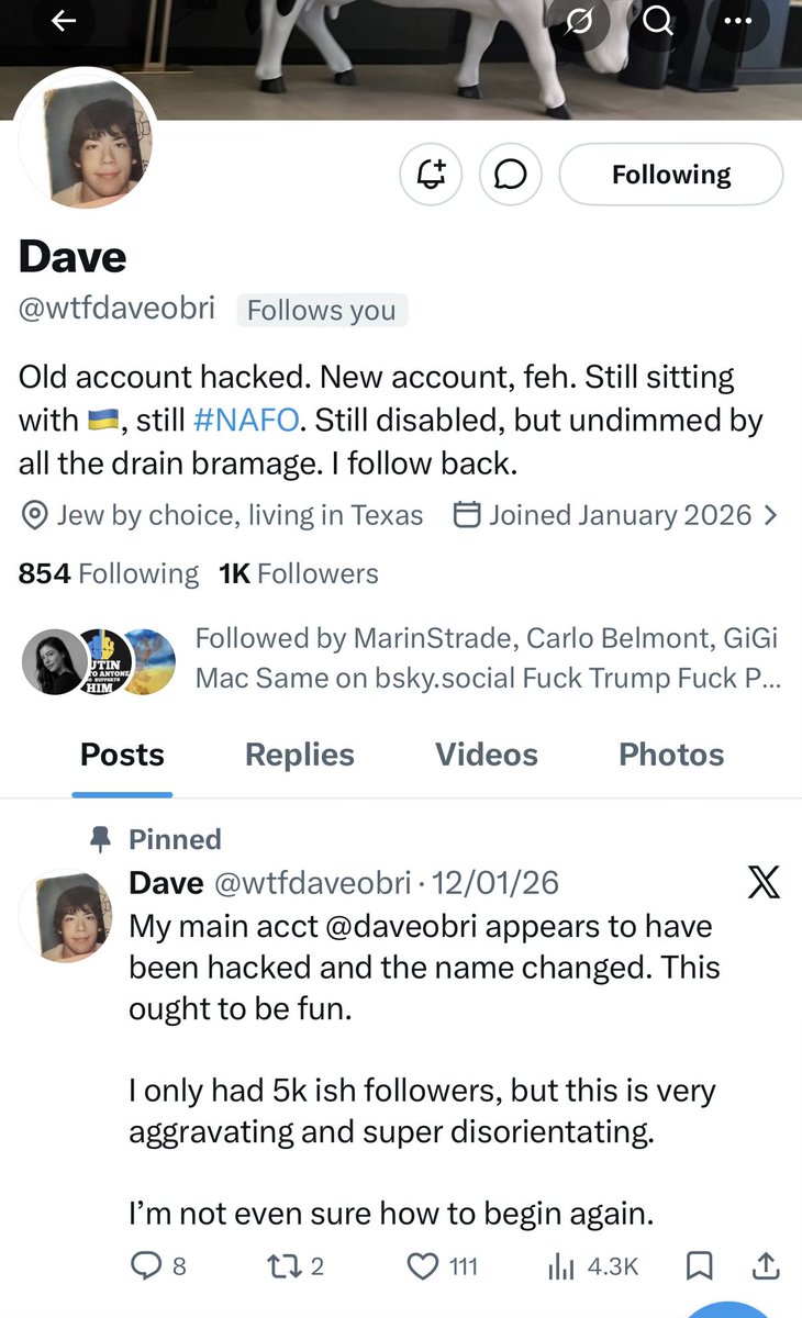 Anti-trump NAFO are fighting 2 fights at the same time &amp; need all the help
<a href="/wtfdaveobri/">Dave</a> ‘s old acc got hacked, let’s help them with this one