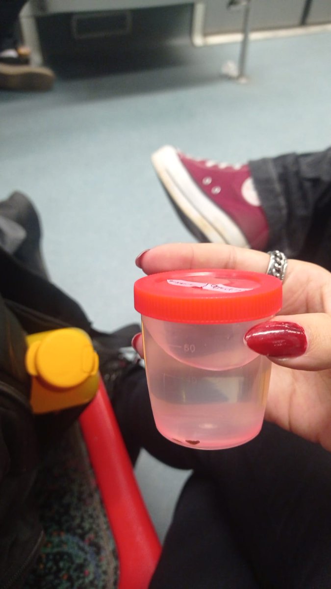 mari cão do inferno tweet media