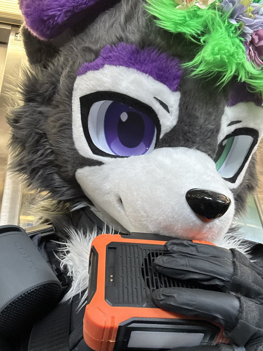 I’m smoking that pocket fan air because it’s mad hot today in NYC 🔥

#furry #nyc