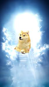 DogeGPU tweet media