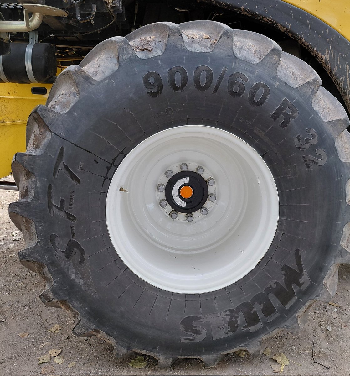 @gustavocanavese tweet media