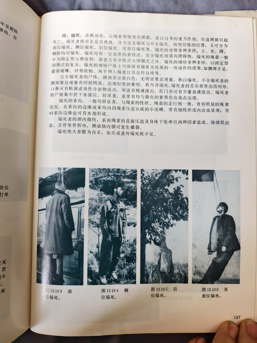 吴二棒 tweet media