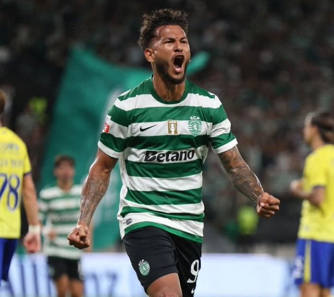 StevenRMCF 🇨🇴🇭🇳🇺🇸✝️🦈 tweet media