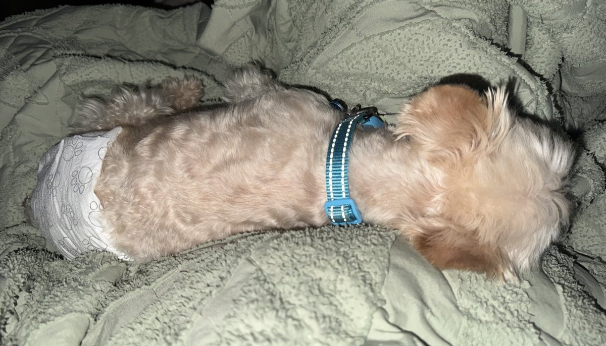 Srta. Corajes🩷 tweet media