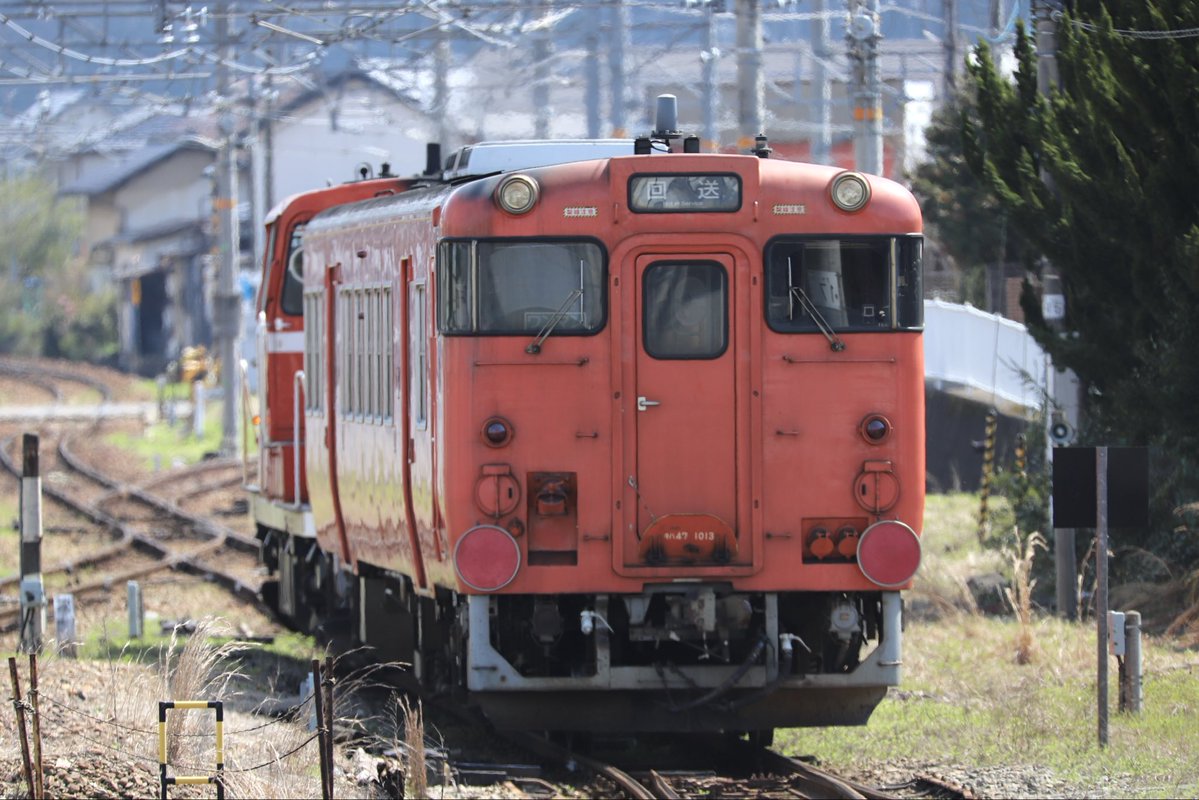 西のカモレ tweet media