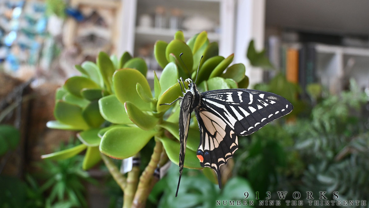 913WORKS tweet media