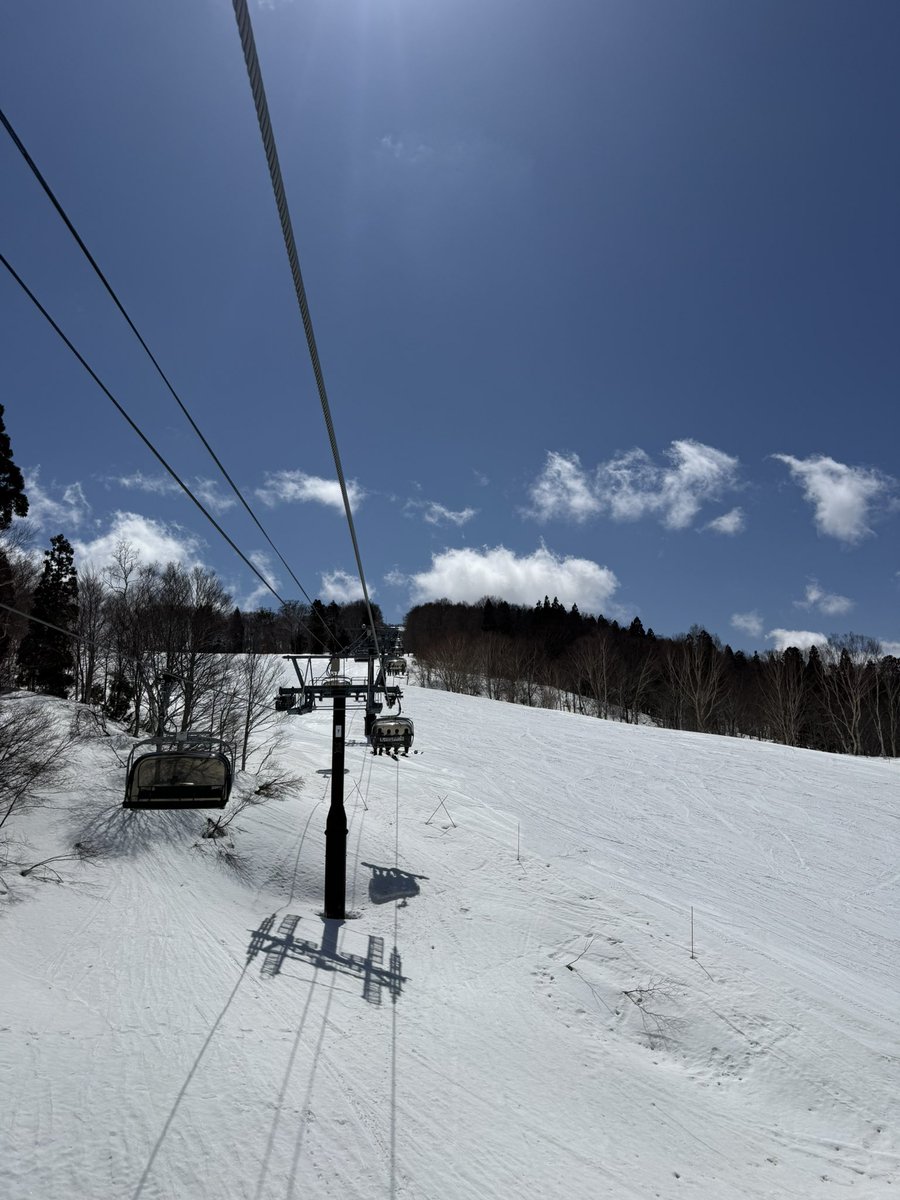 やいちん😁GP隊やいちんドム😁 tweet media