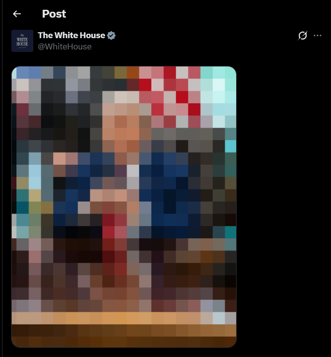 Pika ⚡ /αlphα/ 🔶 tweet media