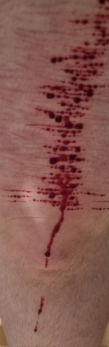 jessie ୨ৎ꩜ • shtwt tweet media