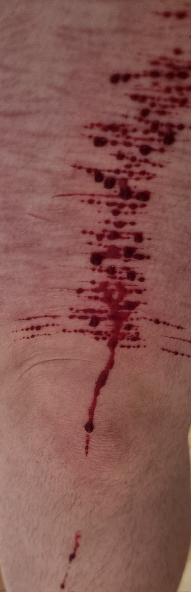 jessie ୨ৎ꩜ • shtwt tweet media