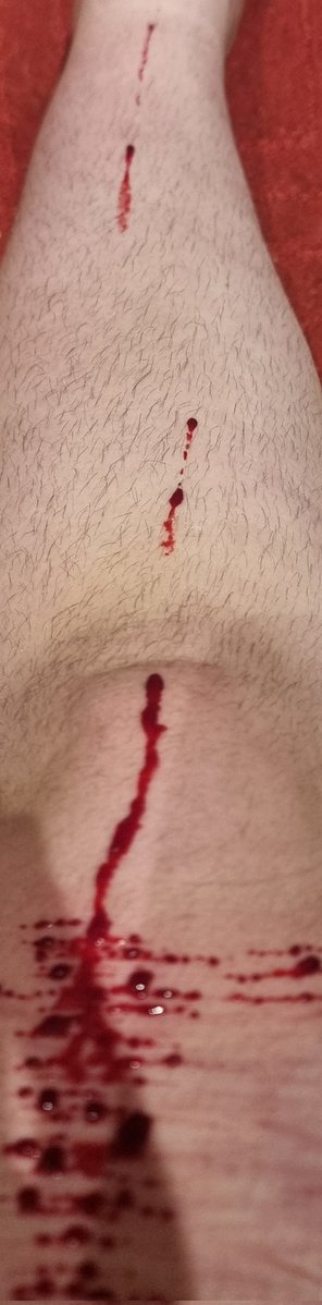 jessie ୨ৎ꩜ • shtwt tweet media