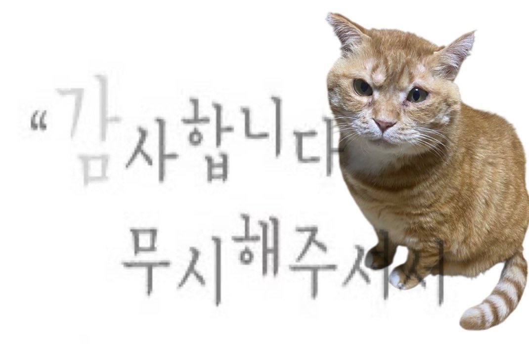 웅견이💕🧟 tweet media