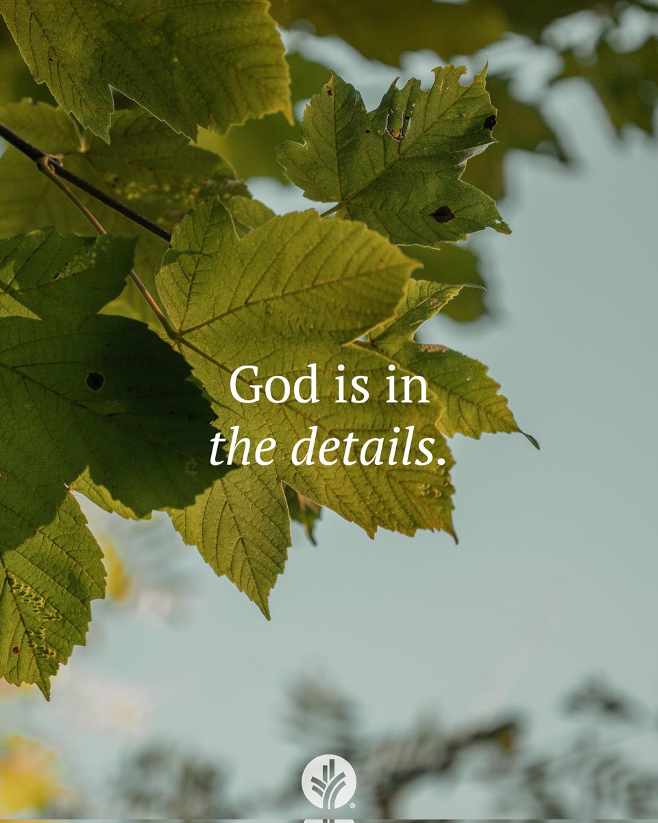 Ian Mbugua tweet media