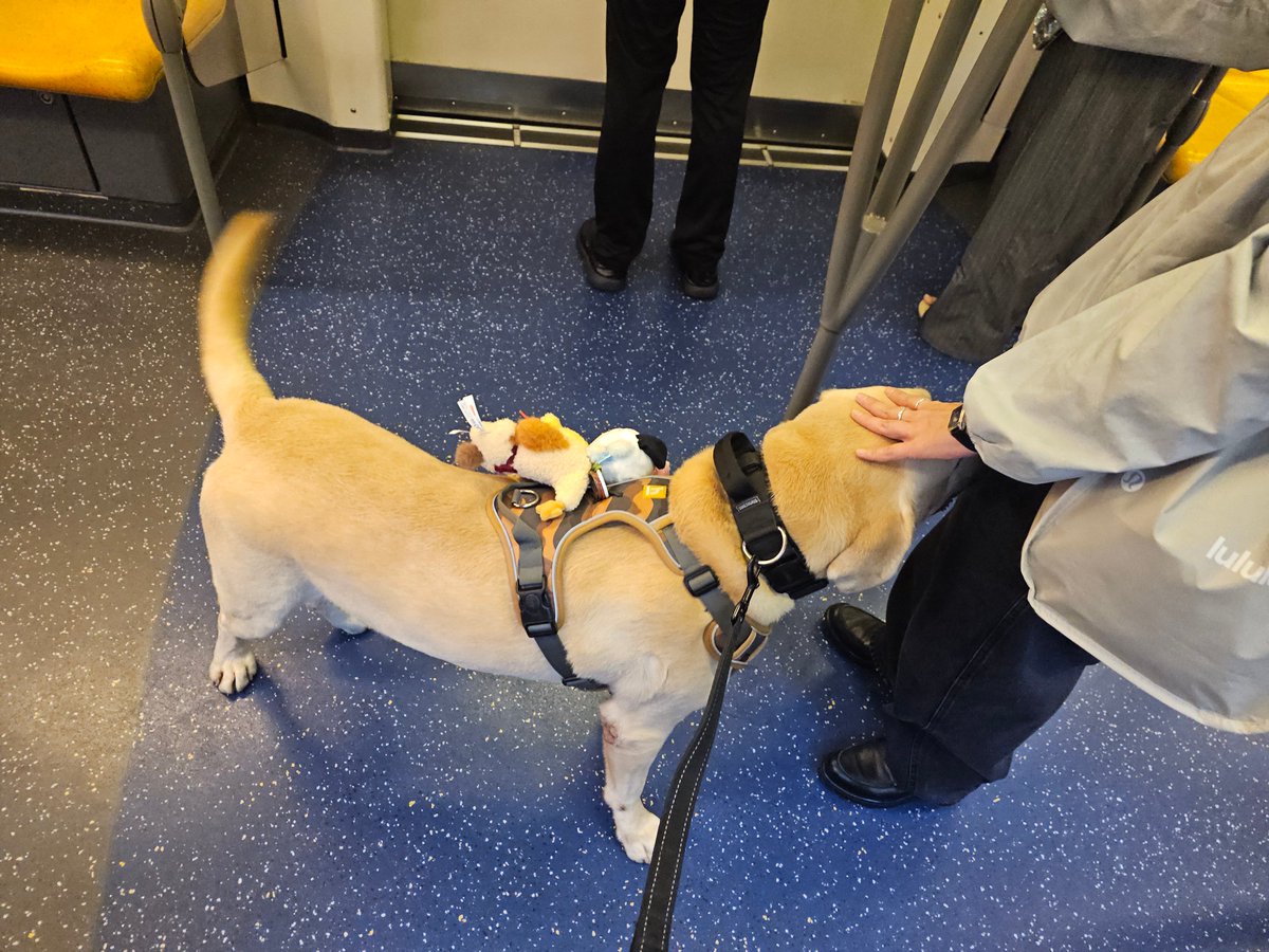 May_Be_Together ₍˄·͈༝·͈˄*₎ tweet media