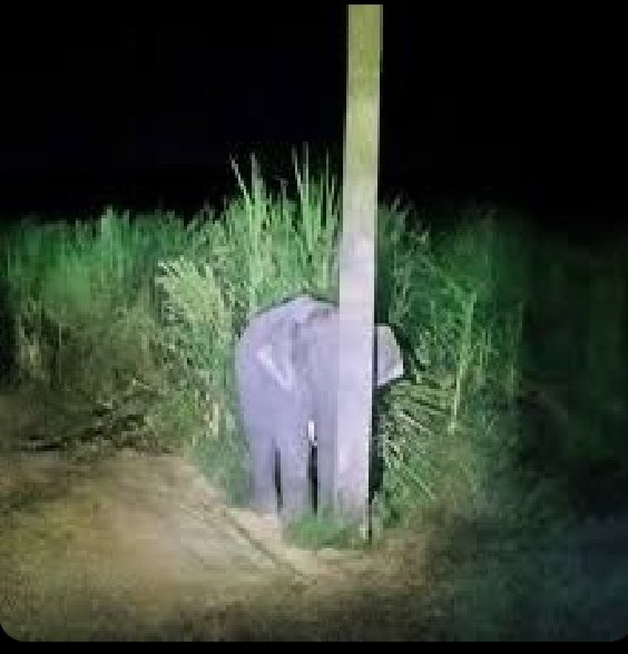 yَََ || ot7 tweet media