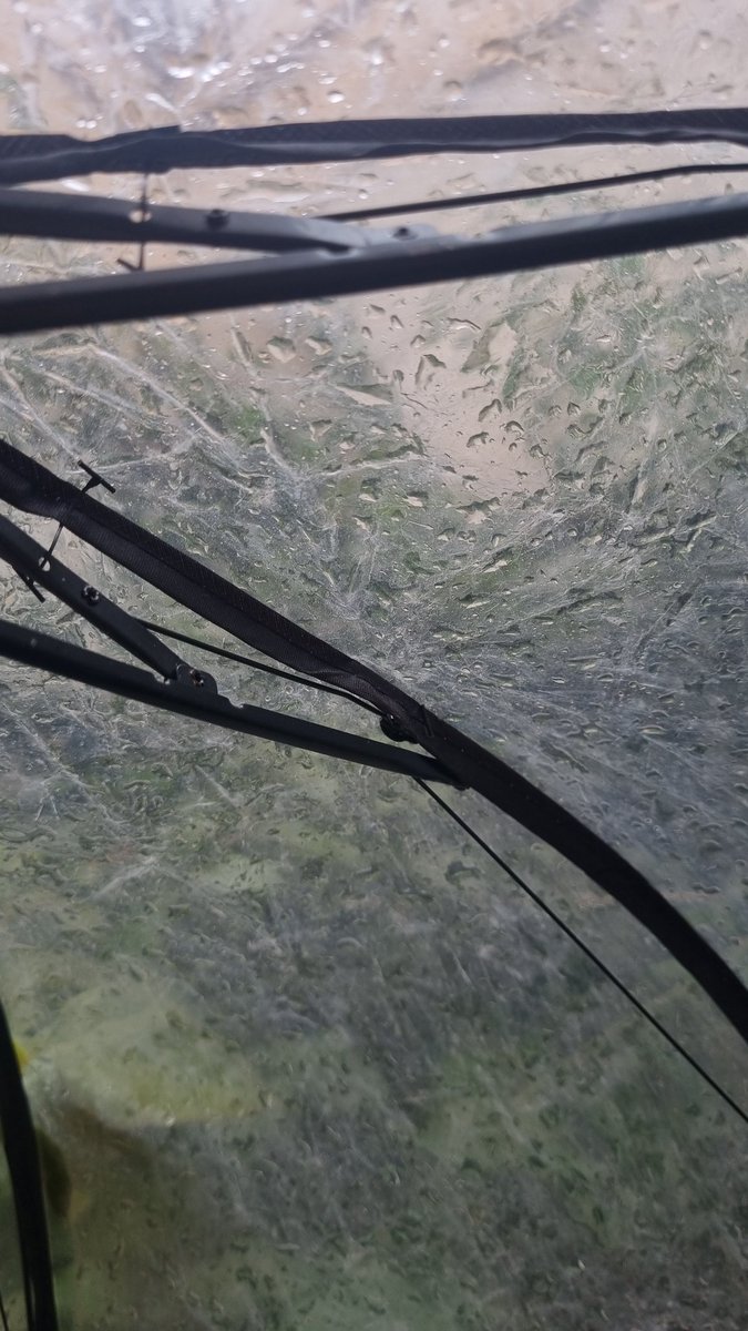 وردة tweet media