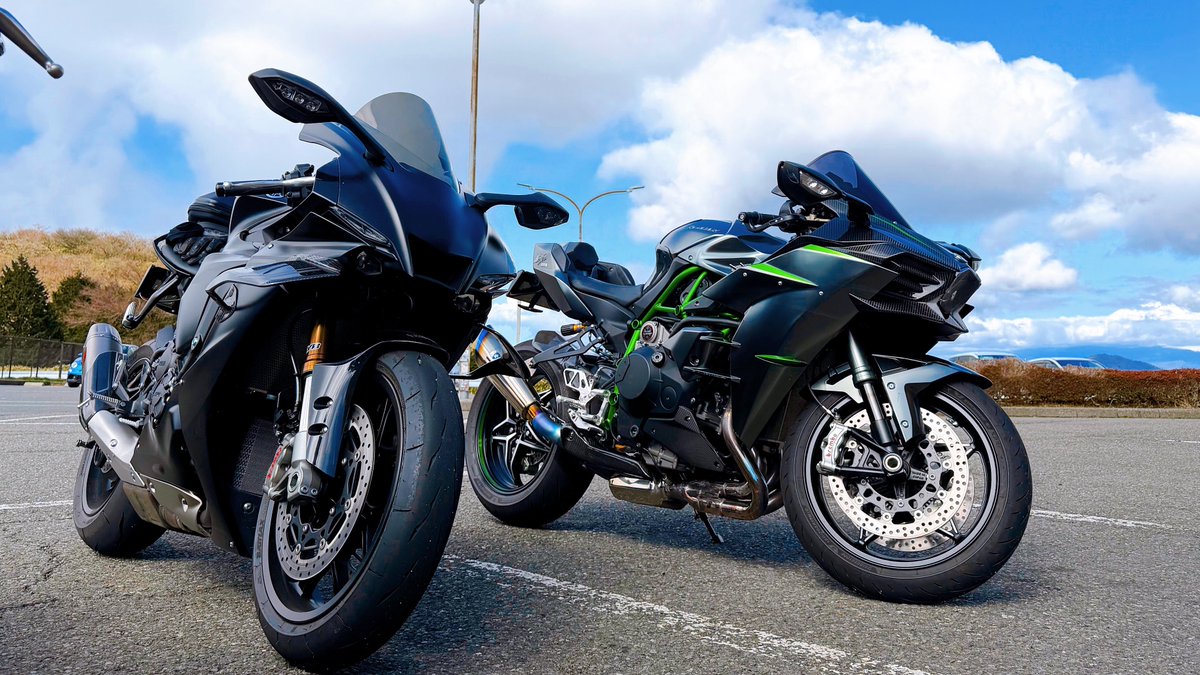 ピピ美（春の民） tweet media