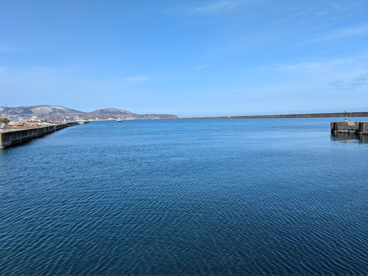 ねぎしお tweet media