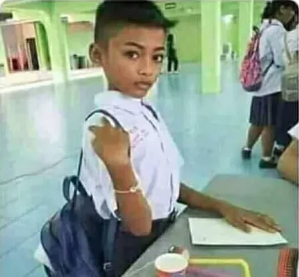 Michi Tiburón tweet media