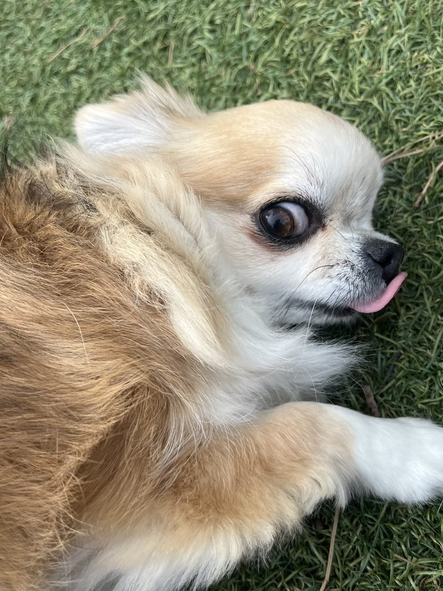 it's so gojover tweet media