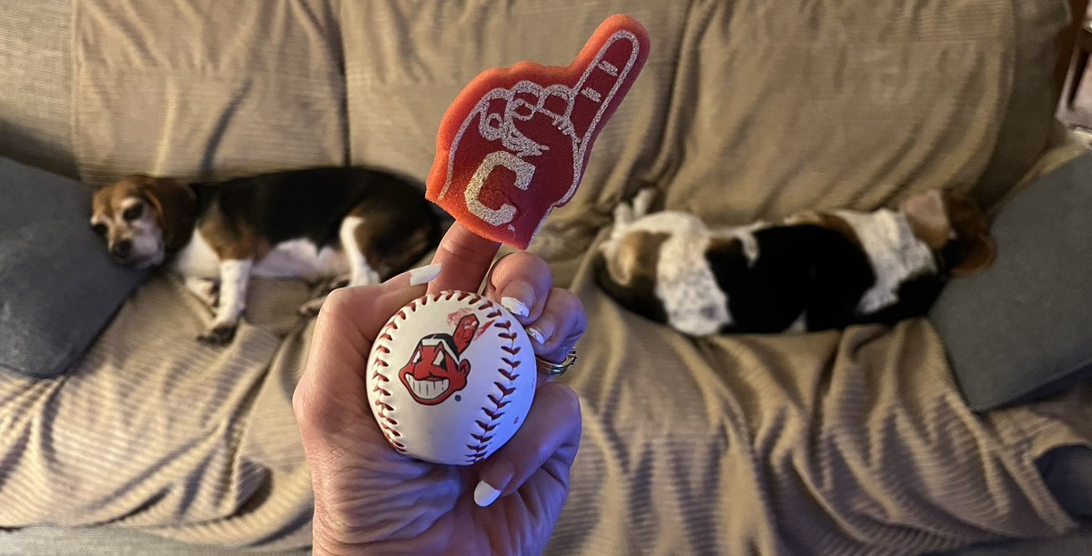 Cookie Roof 🍪 tweet media