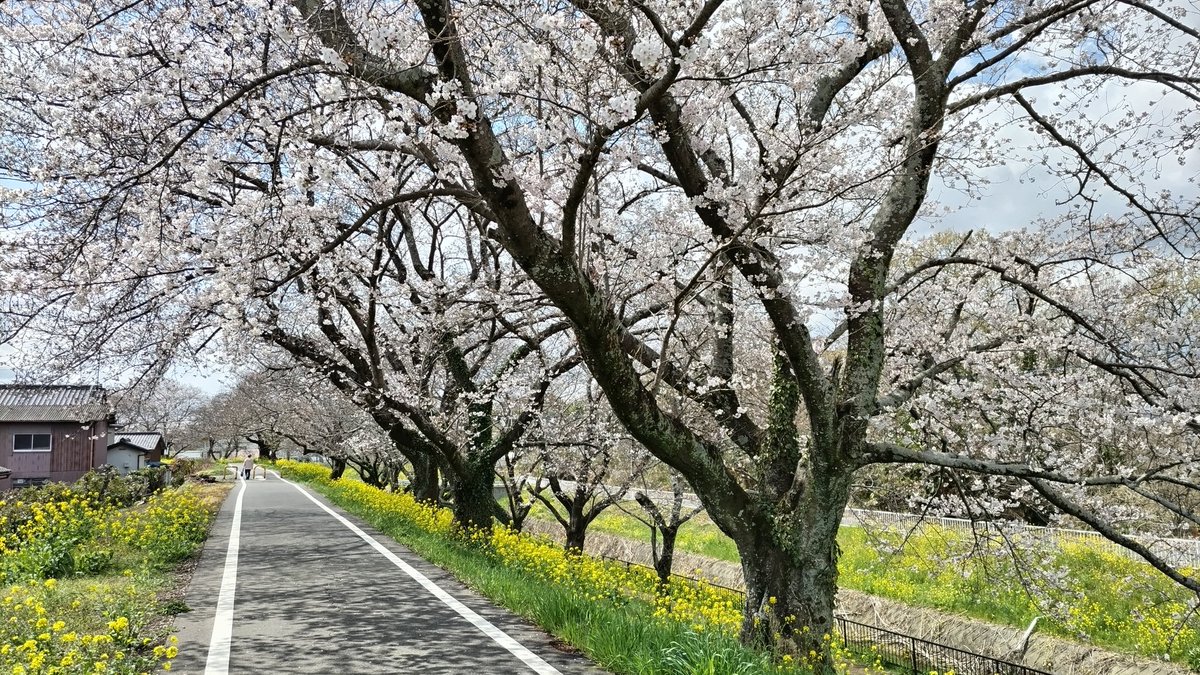 ひろぽん@404Fleche日本橋 tweet media