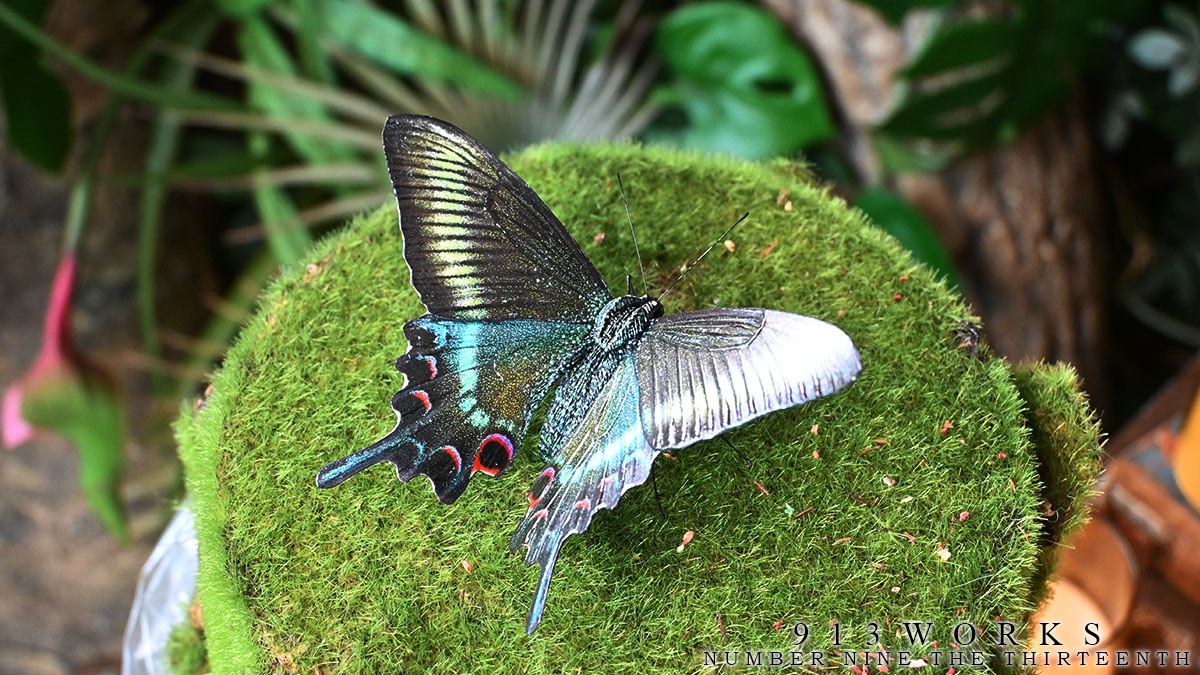 913WORKS tweet media