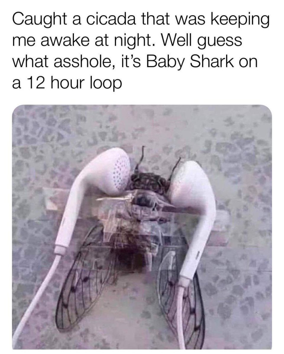 Alexander Burns tweet media