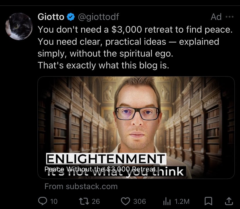 ꙮ ts annie 🇵🇸 tweet media