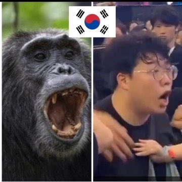 Bikini Bottom tweet media