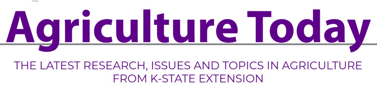 Jeanne Falk Jones tweet media