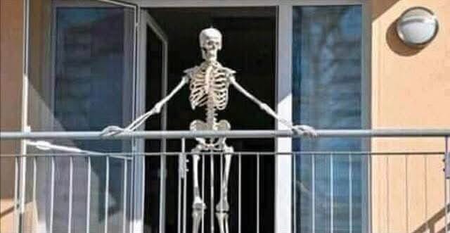 Moi qui attends les premières arrestations et procès des élites pedosatanistes depuis la publication des dossiers Epstein