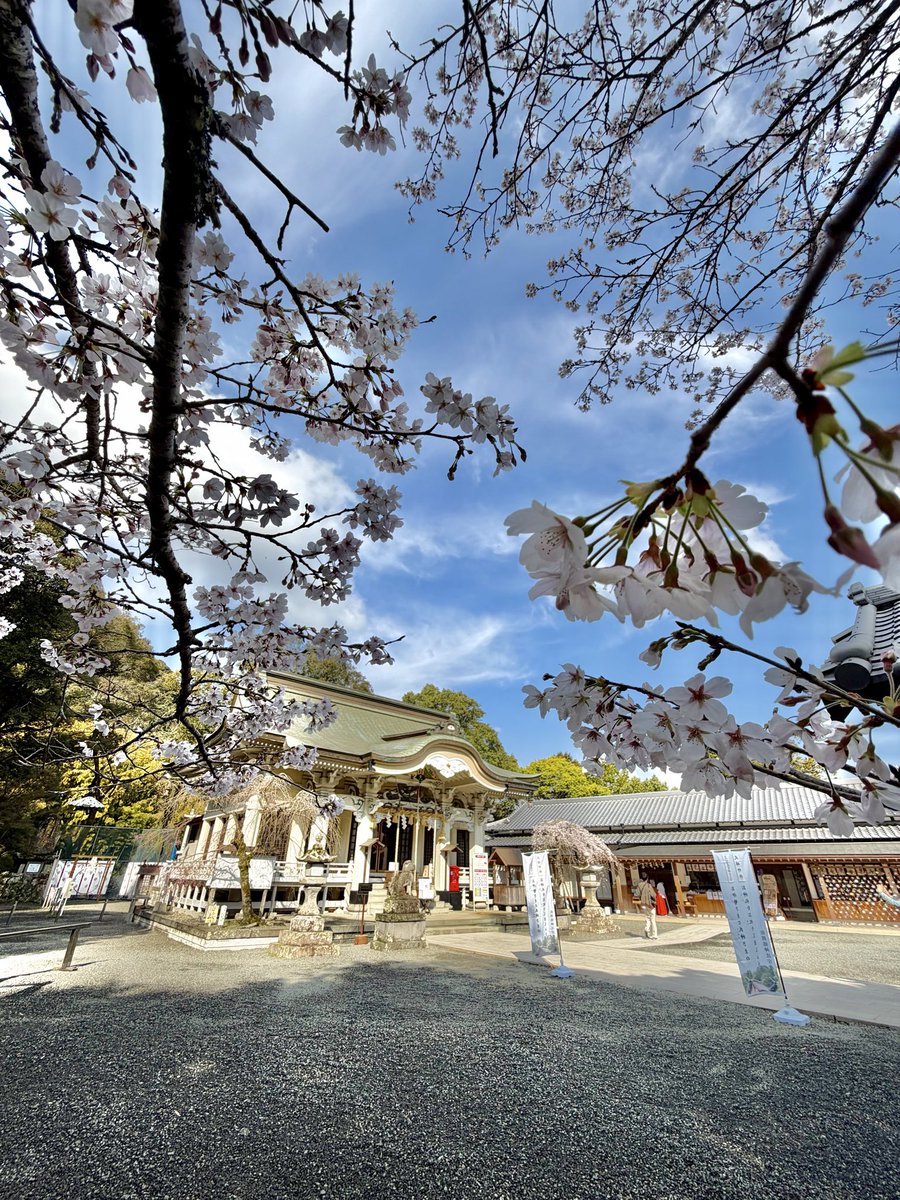 武雄神社【公式】 tweet media