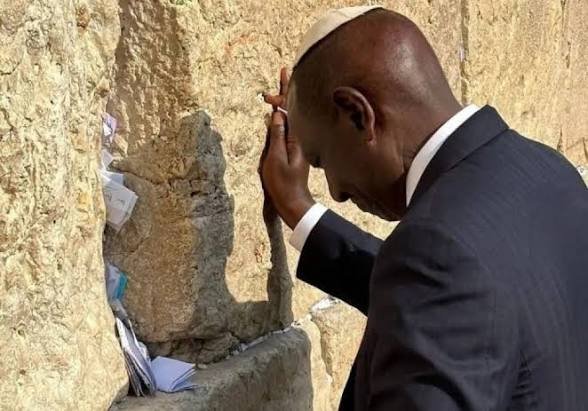 Agent Nala tweet media