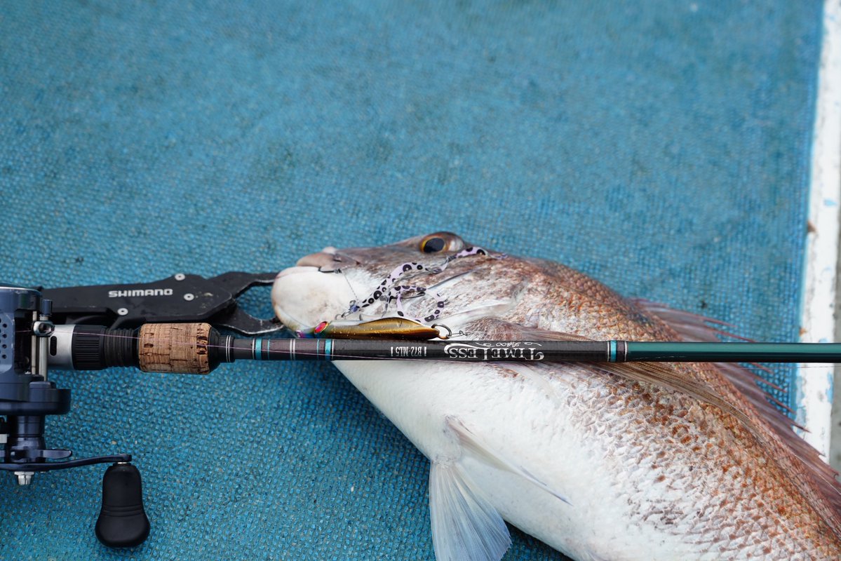 アングリングソルト tweet media