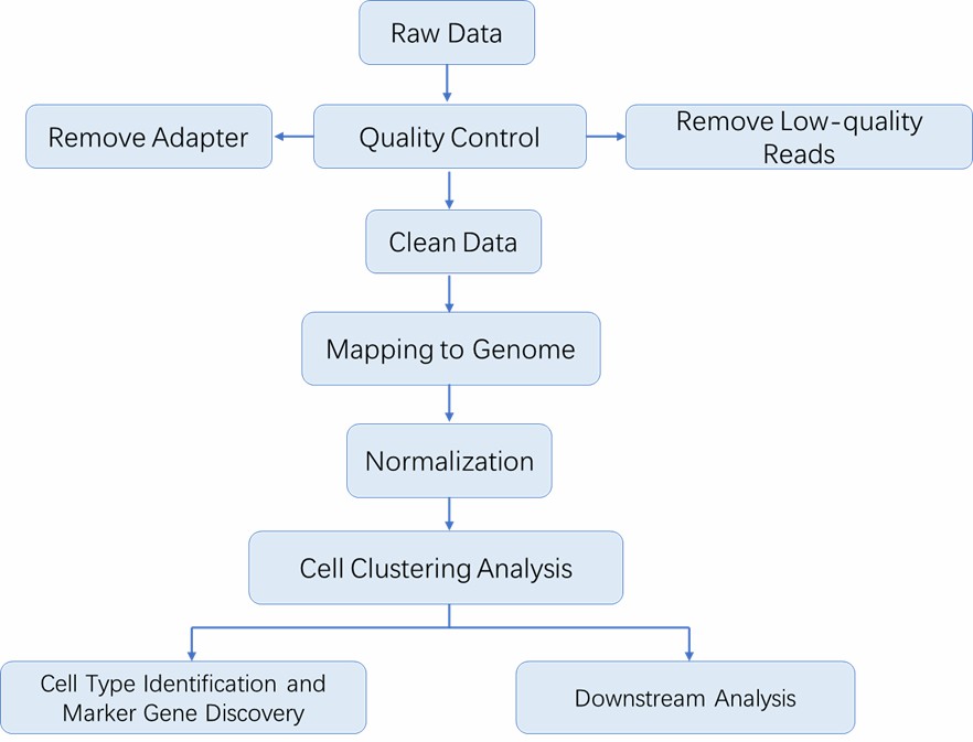 CD Genomics tweet media