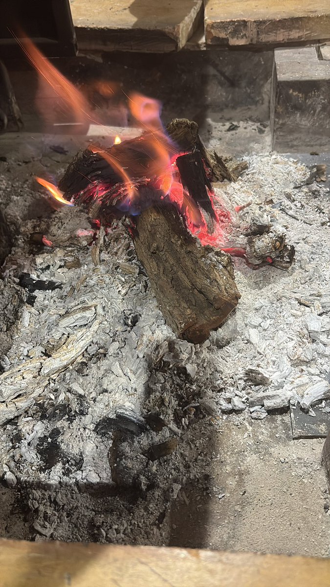 جورج قرداحي tweet media