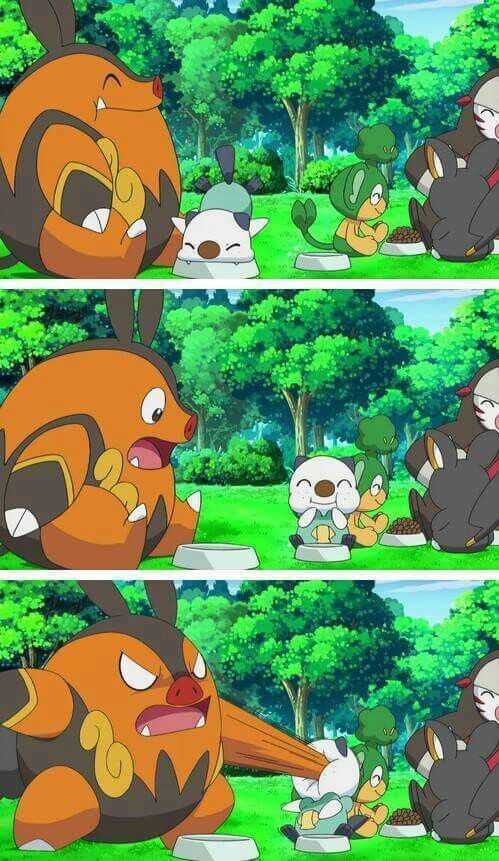 Tepig Propaganda tweet media