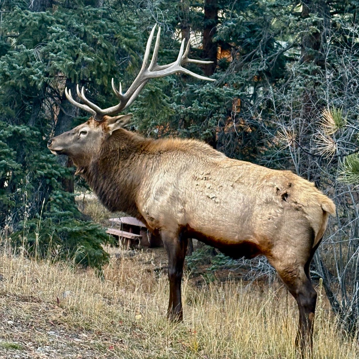 Hanging in RMNP
