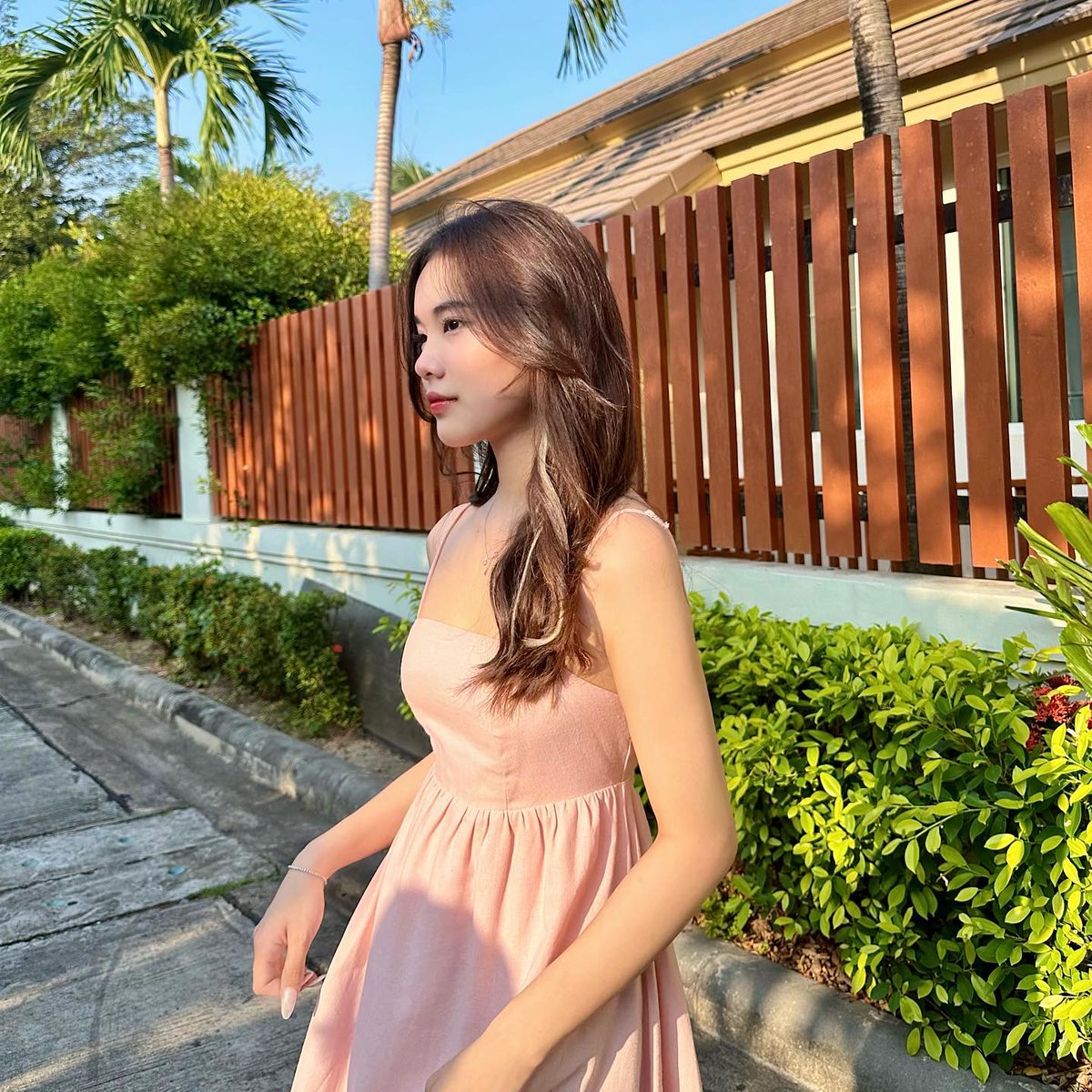 steve Td tweet media