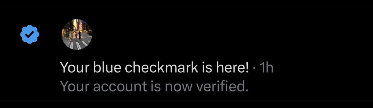 vepagram tweet media