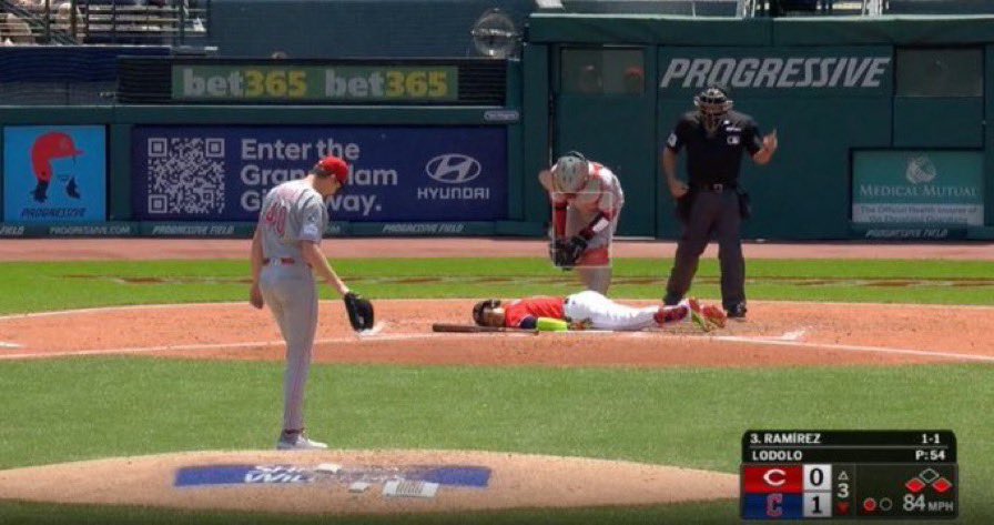 cdlenthusiast's tweet image. bibee