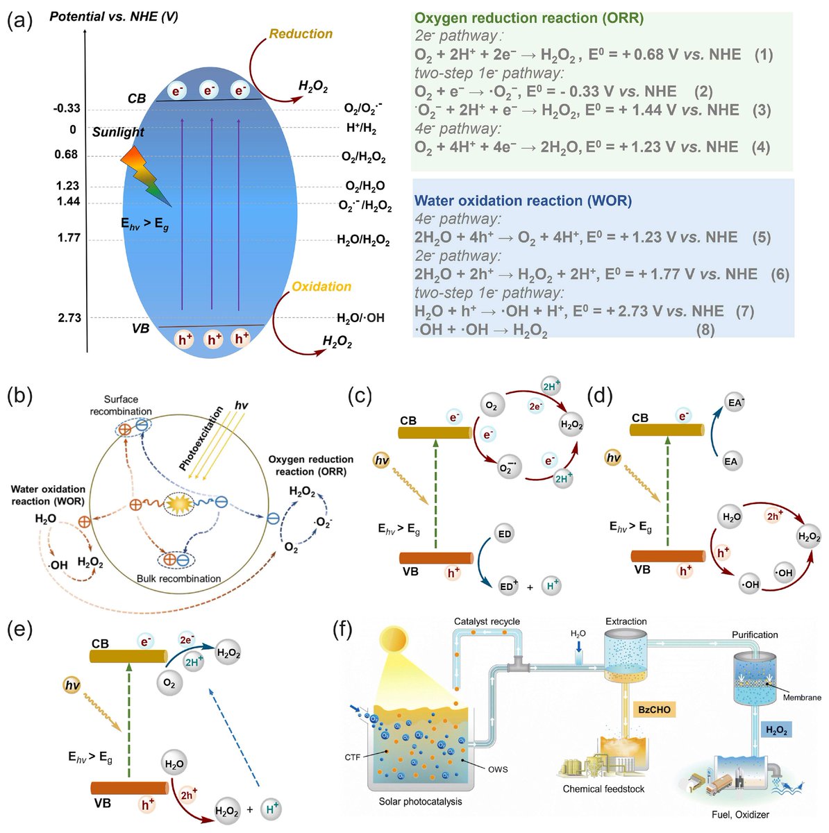 Biosensors tweet media